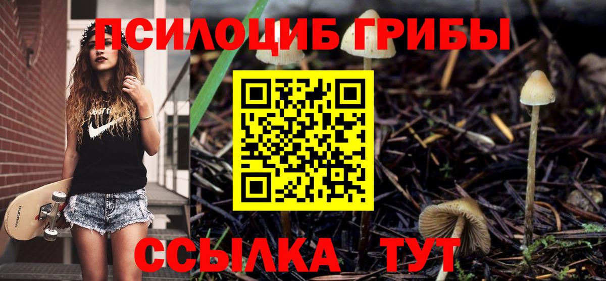 Псилоцибиновые грибы GOLDEN TEACHER Медногорск