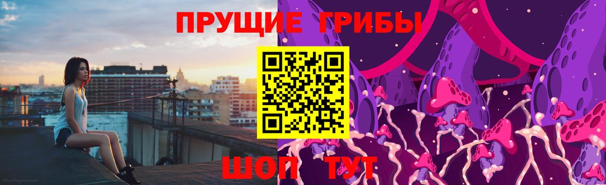 Медногорск  Псилоцибиновые грибы Psilocybe  Вход с VPN 